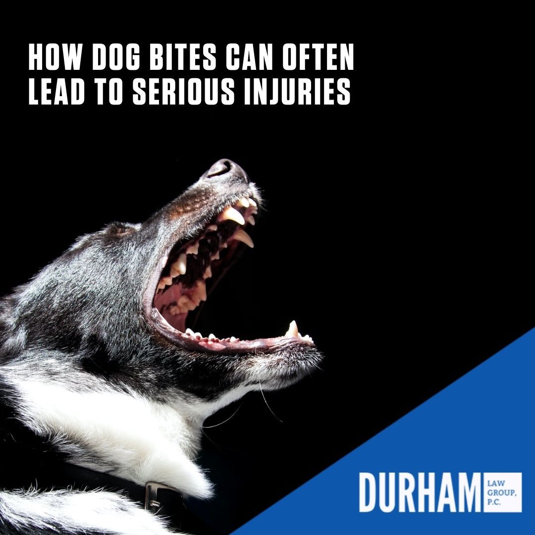 How Dog Bites Can Often Lead to Serious Injuries